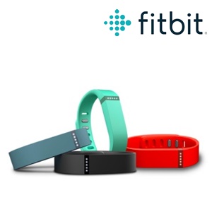 FLEX fitbit <br />Summer 2016