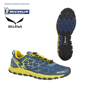 salewa michelin