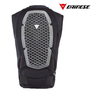 DAINESE <BR /> Pro Armor <BR /> Winter 2018.19 DAINESE <BR /> Pro Armor <BR /> Winter 2018.19