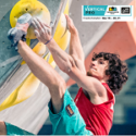 vertical pro 2021